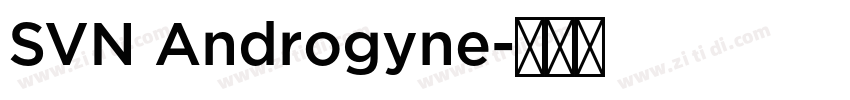 SVN Androgyne字体转换